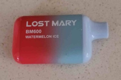 LostMary1.jpg