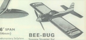 bee bug.jpg