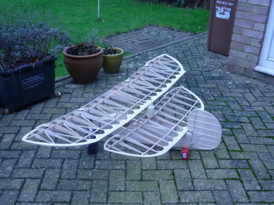 Flea Bare Bones.jpg