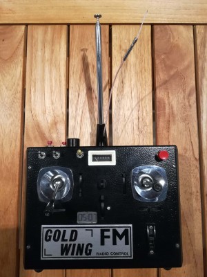 Gold Wing 3.jpg